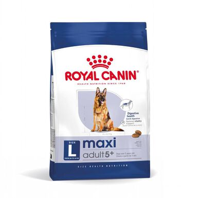 Royal Canin Maxi Adult 5+ pienso para perros senior de raza grande